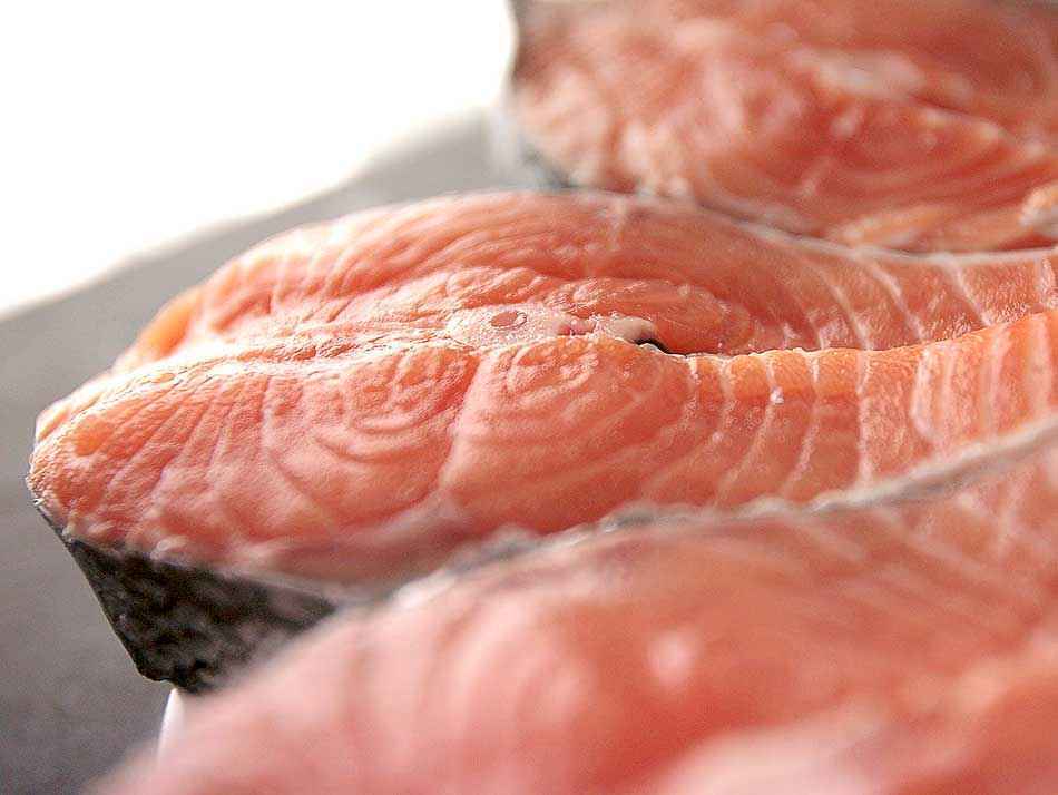 Salmon