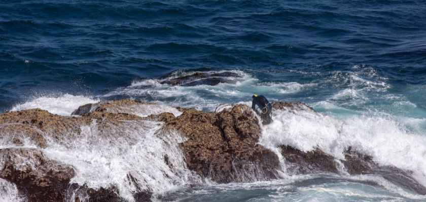 Percebeiros gallegos: valientes guardianes de los sabores del mar