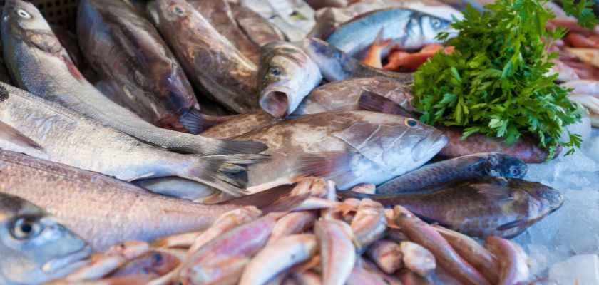 Como Conservar El Marisco Y El Pescado Fresco En Casa?