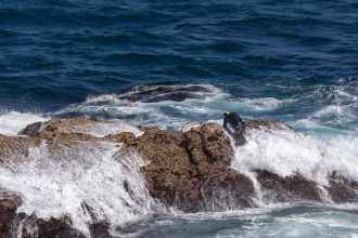 Percebeiros gallegos: valientes guardianes de los sabores del mar