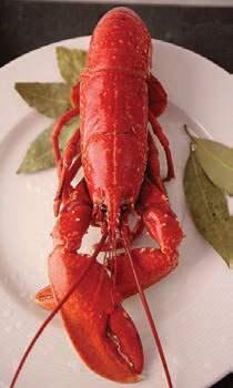 Comrprar Mariscadas Online